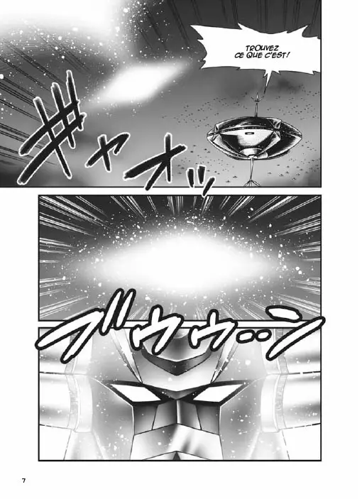 LE N°1 : Le fasicule
